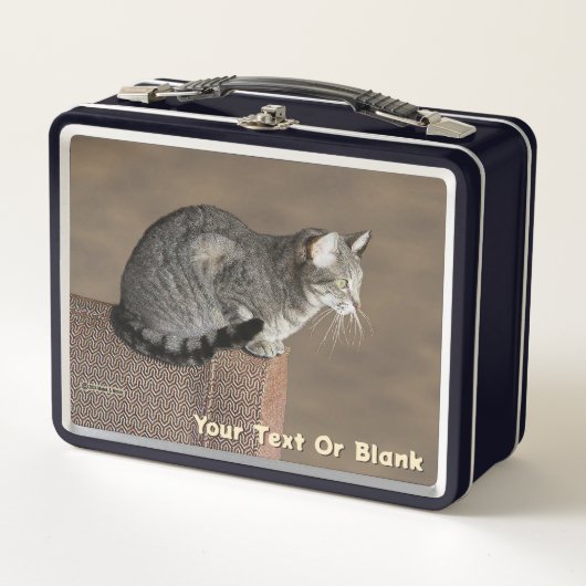 Lunch Box Chat Tabby Gris Fumé (Devant)