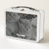 Lunch Box Chats Kitty Gray Cute (Devant)