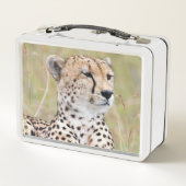 Lunch Box Cheetah (Dos)