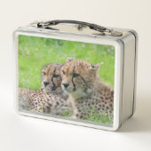 Lunch Box Cheetah 001 (Dos)