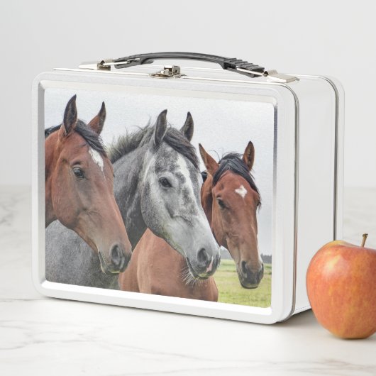 Lunch Box Chevaux (En situation)