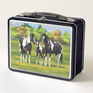 Lunch Box Chevaux De Peinture De Pinto Noir En Pâturage Été