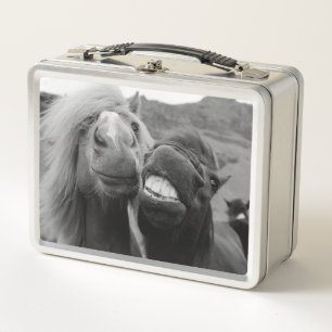 Lunch Box Chevaux de sourire des images de Getty
