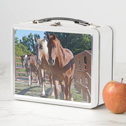 Lunch Box Chevaux dirigés de nouveau à la grange (En situation)