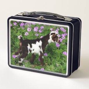Lunch Box Chèvre naine nigériane flashy Kid en fleurs violet