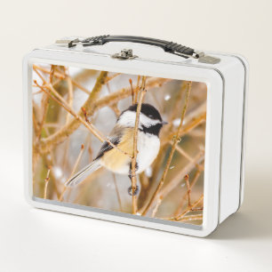 Lunch Box Chickadee au plafond noir - Photo originale