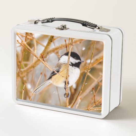Lunch Box Chickadee au plafond noir - Photo originale (Devant)