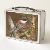 Lunch Box Chickadee Songbird, mignonne à dos de châtaignier (Dos)