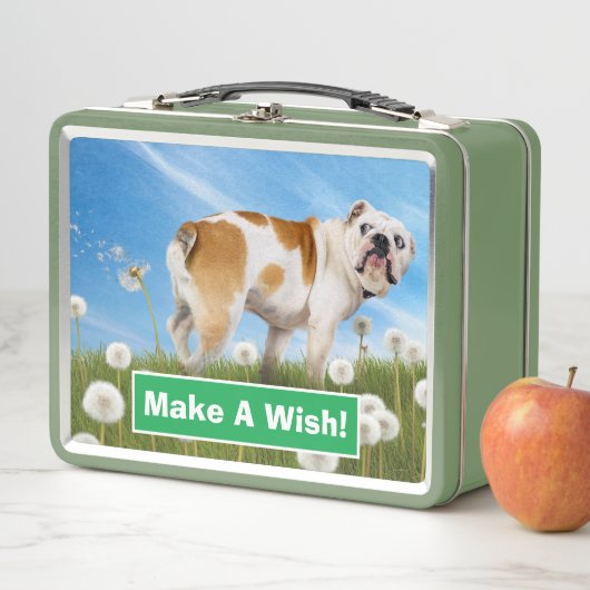Lunch Box Chien avec Dandelion (En situation)