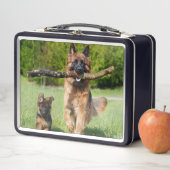 Lunch Box Chien berger allemand à longue chair et chiot (En situation)