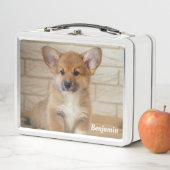 Lunch Box Chien Corgi (En situation)