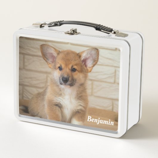 Lunch Box Chien Corgi (Devant)