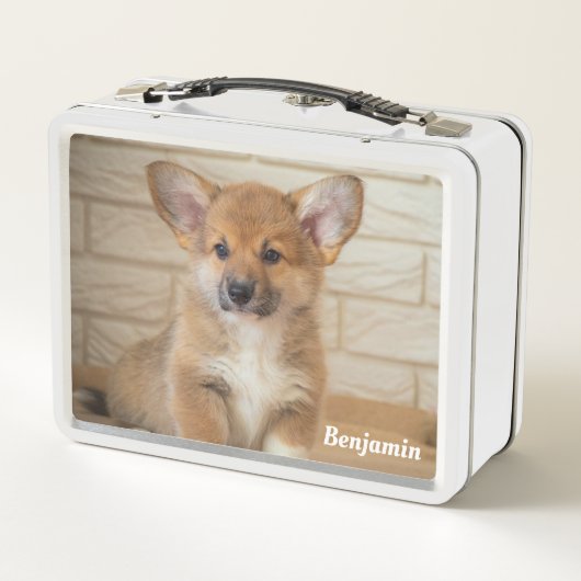 Lunch Box Chien de Corgi (Dos)
