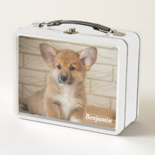 Lunch Box Chien de Corgi