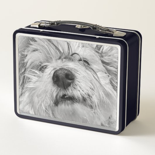 Lunch Box Chien de Coton de Tulear (Dos)
