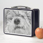 Lunch Box Chien de Coton de Tulear (En situation)