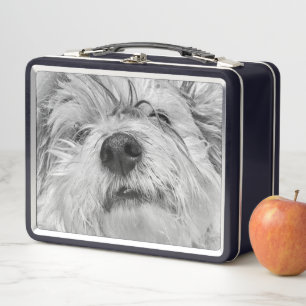Lunch Box Chien de Coton de Tulear