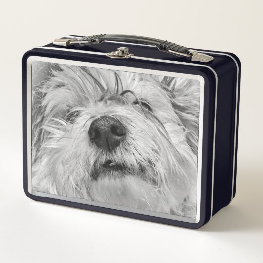 Lunch Box Chien de Coton de Tulear (Devant)