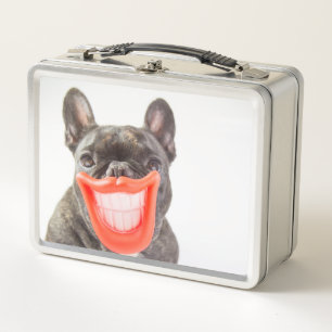 Lunch Box Chien de sourire des images A de Getty