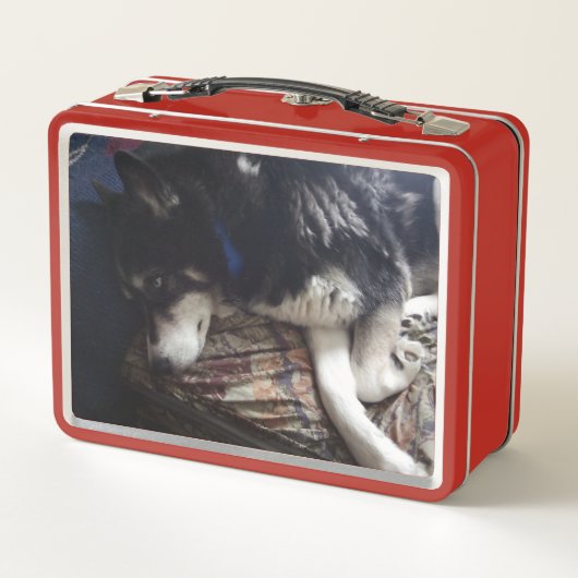 Lunch Box Chien endormi (Dos)