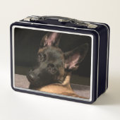 Lunch Box Chien malinois (Dos)