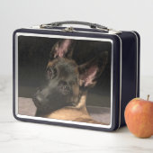 Lunch Box Chien malinois (En situation)