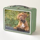 Lunch Box Chien mignon (Devant)