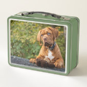 Lunch Box Chien mignon (Dos)