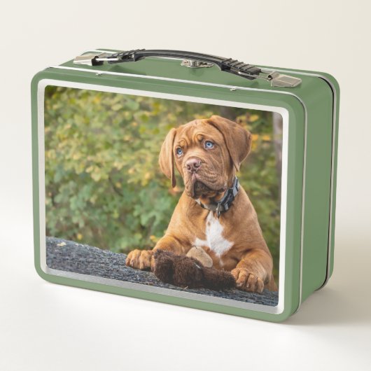 Lunch Box Chien mignon (Dos)
