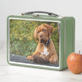 Lunch Box Chien mignon (En situation)