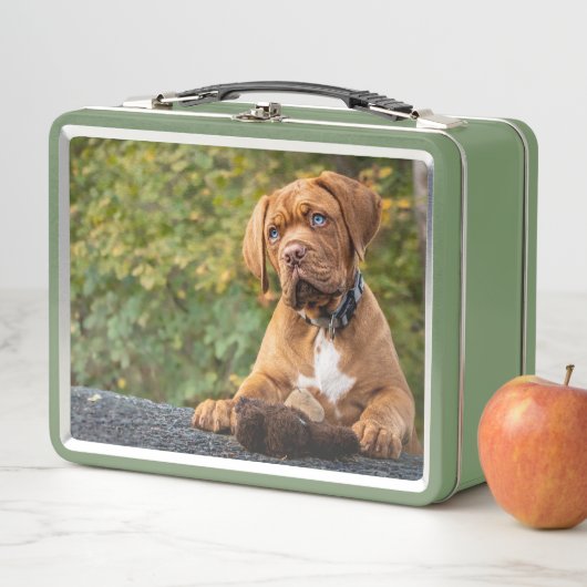 Lunch Box Chien mignon (En situation)