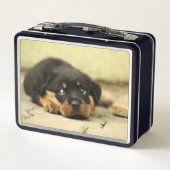 Lunch Box Chiot (Dos)