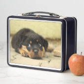 Lunch Box Chiot (En situation)