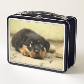 Lunch Box Chiot (Devant)