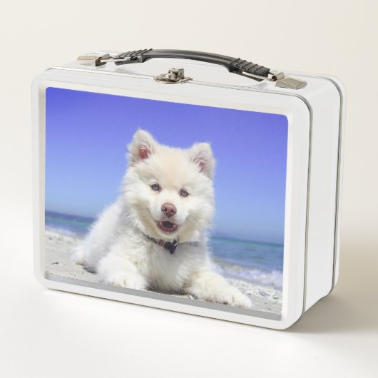 Lunch Box Chiot blanc (Devant)