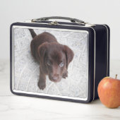 Lunch Box Chiot de laboratoire Brown (En situation)