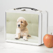 Lunch Box Chiot d'or sur un canapé (En situation)
