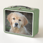 Lunch Box Chiot Golden Retriever (Devant)