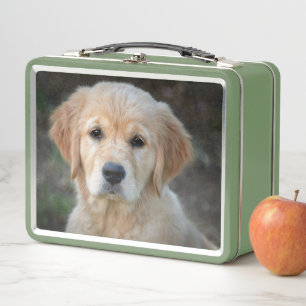 Lunch Box Chiot Golden Retriever
