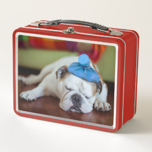 Lunch Box Chiot malade des images de Getty jeune