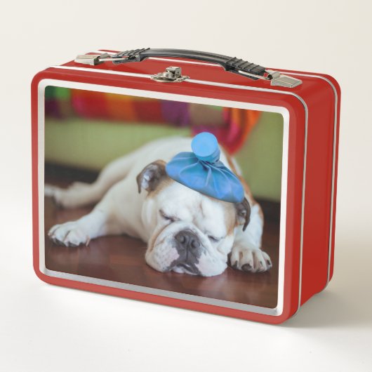 Lunch Box Chiot malade des images | de Getty jeune (Devant)