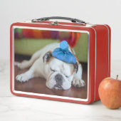 Lunch Box Chiot malade des images | de Getty jeune (En situation)