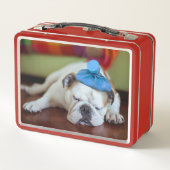 Lunch Box Chiot malade des images | de Getty jeune (Dos)