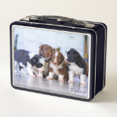 Lunch Box Chiots de Border Collie mignons (Dos)
