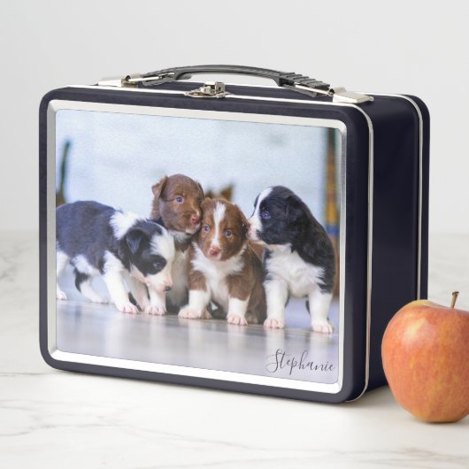 Lunch Box Chiots de Border Collie mignons (En situation)