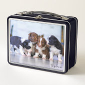 Lunch Box Chiots de Border Collie mignons (Devant)