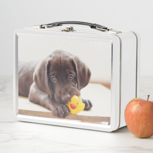 Lunch Box Chocolat Labrador Puppy With Toy Duck (En situation)