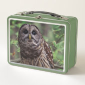 Lunch Box Chouette barrée (Devant)