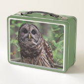 Lunch Box Chouette barrée (Dos)