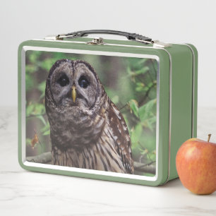Lunch Box Chouette barrée